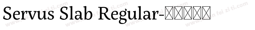 Servus Slab Regular字体转换
